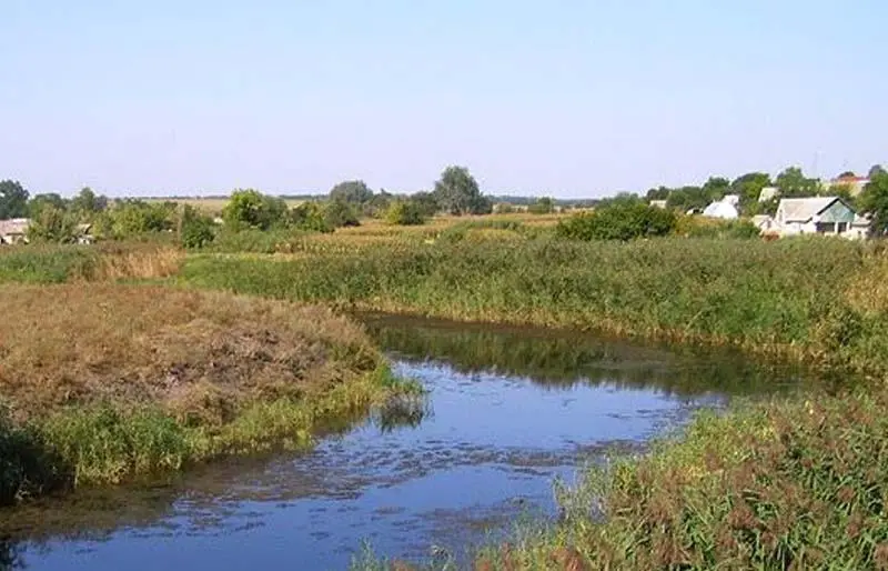 Розпорядження міського голови